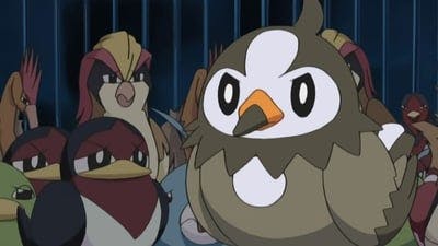 Assistir Pokémon Temporada 10 Episódio 13 Online em HD