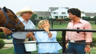 Assistir Dallas Temporada 11 Episódio 9 Online em HD