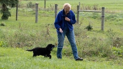 Assistir Clínica Animal com Dr. Pol Temporada 23 Episódio 5 Online em HD