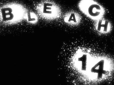 Assistir Bleach Temporada 1 Episódio 14 Online em HD