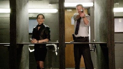 Assistir The Good Wife – Pelo Direito de Recomeçar Temporada 1 Episódio 11 Online em HD