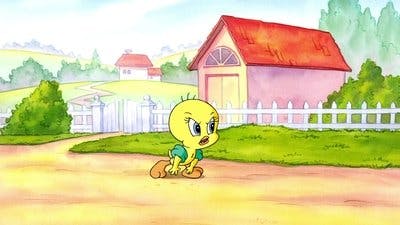 Assistir Baby Looney Tunes Temporada 1 Episódio 69 Online em HD