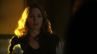 Assistir CSI: Investigação Criminal Temporada 3 Episódio 21 Online em HD