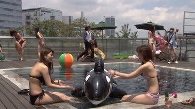 Assistir Kamen Rider Temporada 20 Episódio 41 Online em HD