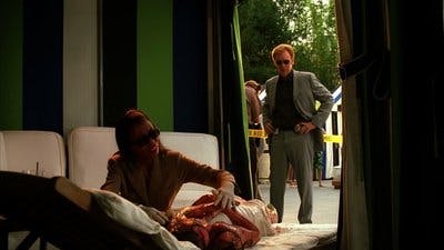 Assistir CSI: Miami Temporada 3 Episódio 15 Online em HD