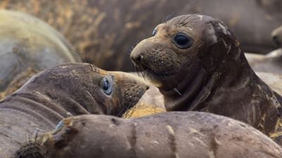 Assistir Os Parques Nacionais Mais Fascinantes do Mundo Temporada 1 Episódio 4 Online em HD