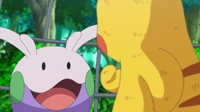 Assistir Pokémon Temporada 18 Episódio 7 Online em HD