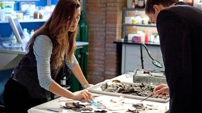 Assistir NCIS: Investigação Naval Temporada 8 Episódio 19 Online em HD
