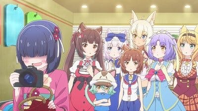Assistir Nekopara Temporada 1 Episódio 12 Online em HD