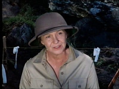 Assistir Havaí Cinco-0 Temporada 10 Episódio 5 Online em HD