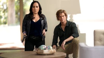 Assistir MacGyver Temporada 3 Episódio 10 Online em HD