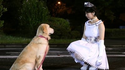 Assistir Kamen Rider Temporada 25 Episódio 42 Online em HD
