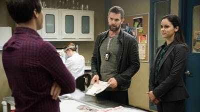 Assistir Brooklyn Nine-Nine: Lei e Desordem Temporada 2 Episódio 21 Online em HD