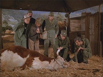 Assistir M*A*S*H Temporada 10 Episódio 11 Online em HD