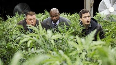 Assistir Brooklyn Nine-Nine: Lei e Desordem Temporada 3 Episódio 16 Online em HD