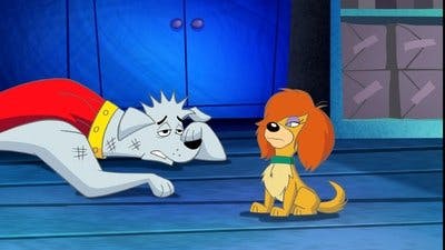 Assistir Krypto, o Supercão Temporada 1 Episódio 17 Online em HD