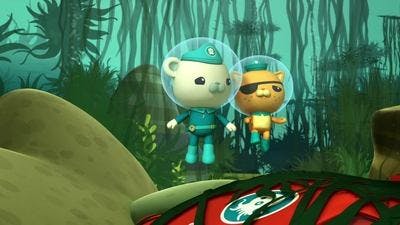 Assistir Octonautas Temporada 3 Episódio 20 Online em HD