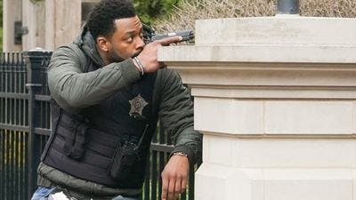Assistir Chicago P.D.: Distrito 21 Temporada 9 Episódio 19 Online em HD