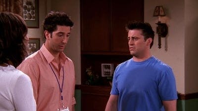 Assistir Friends Temporada 9 Episódio 23 Online em HD