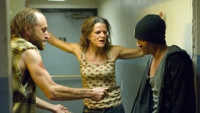Assistir Breaking Bad: A Química do Mal Temporada 2 Episódio 5 Online em HD