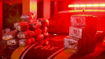 Assistir Border Control: Brazil Temporada 3 Episódio 6 Online em HD