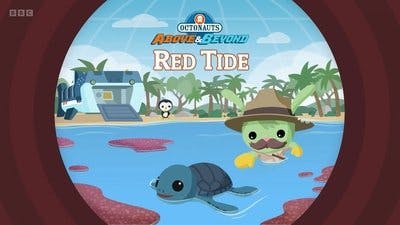 Assistir Octonautas: Missão Planeta Temporada 3 Episódio 8 Online em HD
