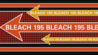 Assistir Bleach Temporada 1 Episódio 195 Online em HD