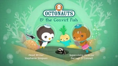Assistir Octonautas Temporada 4 Episódio 9 Online em HD