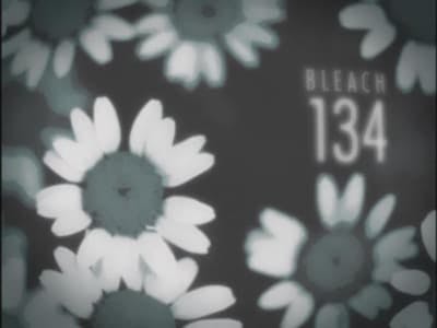 Assistir Bleach Temporada 1 Episódio 134 Online em HD