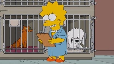 Assistir Os Simpsons Temporada 27 Episódio 15 Online em HD