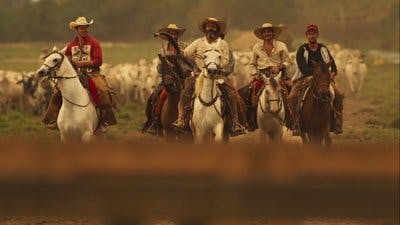 Assistir Pantanal Temporada 1 Episódio 166 Online em HD