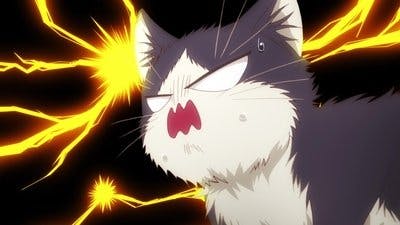 Assistir My Roommate is a Cat Temporada 1 Episódio 3 Online em HD