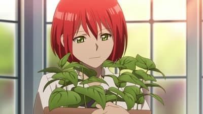 Assistir Akagami no Shirayuki-hime Temporada 1 Episódio 13 Online em HD