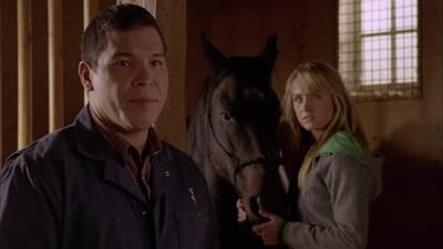 Assistir Heartland Temporada 5 Episódio 16 Online em HD