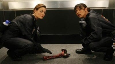 Assistir Bones Temporada 4 Episódio 6 Online em HD