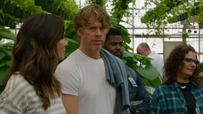 Assistir NCIS: Los Angeles Temporada 14 Episódio 18 Online em HD