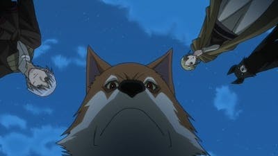 Assistir Spice and Wolf Temporada 1 Episódio 12 Online em HD