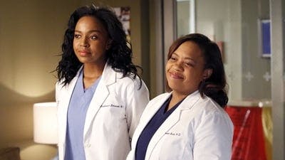 Assistir Grey’s Anatomy Temporada 10 Episódio 23 Online em HD