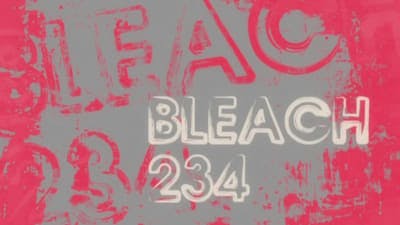 Assistir Bleach Temporada 1 Episódio 234 Online em HD