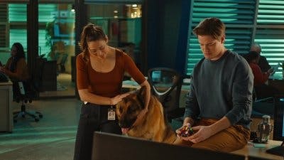 Assistir Hudson & Rex Temporada 7 Episódio 8 Online em HD