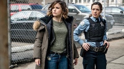 Assistir Chicago P.D.: Distrito 21 Temporada 3 Episódio 19 Online em HD