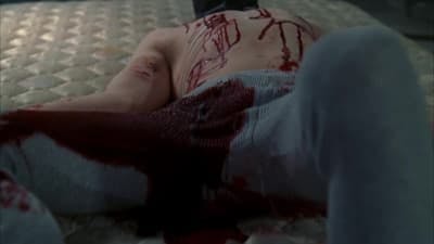 Assistir Lei & Ordem: Unidade de Vítimas Especiais Temporada 8 Episódio 21 Online em HD