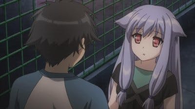 Assistir Mayoi Neko Overrun Temporada 1 Episódio 3 Online em HD