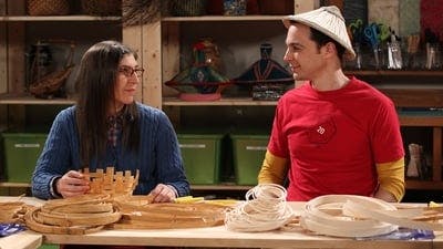 Assistir Big Bang: A Teoria Temporada 8 Episódio 12 Online em HD