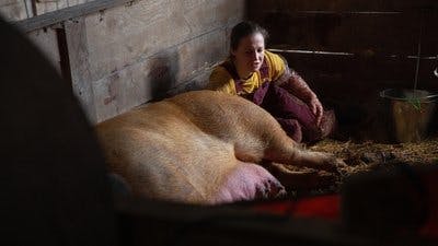 Assistir Clínica Animal com Dr. Pol Temporada 18 Episódio 5 Online em HD