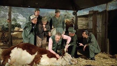 Assistir M*A*S*H Temporada 10 Episódio 11 Online em HD
