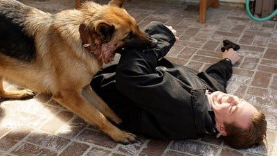 Assistir NCIS: Investigação Naval Temporada 5 Episódio 13 Online em HD