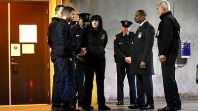 Assistir NCIS: Investigação Naval Temporada 14 Episódio 15 Online em HD