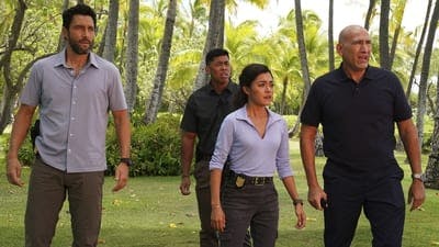 Assistir NCIS Havaí: Investigações Criminais Temporada 1 Episódio 8 Online em HD