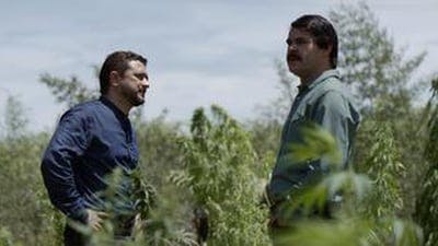 Assistir El Chapo Temporada 3 Episódio 9 Online em HD